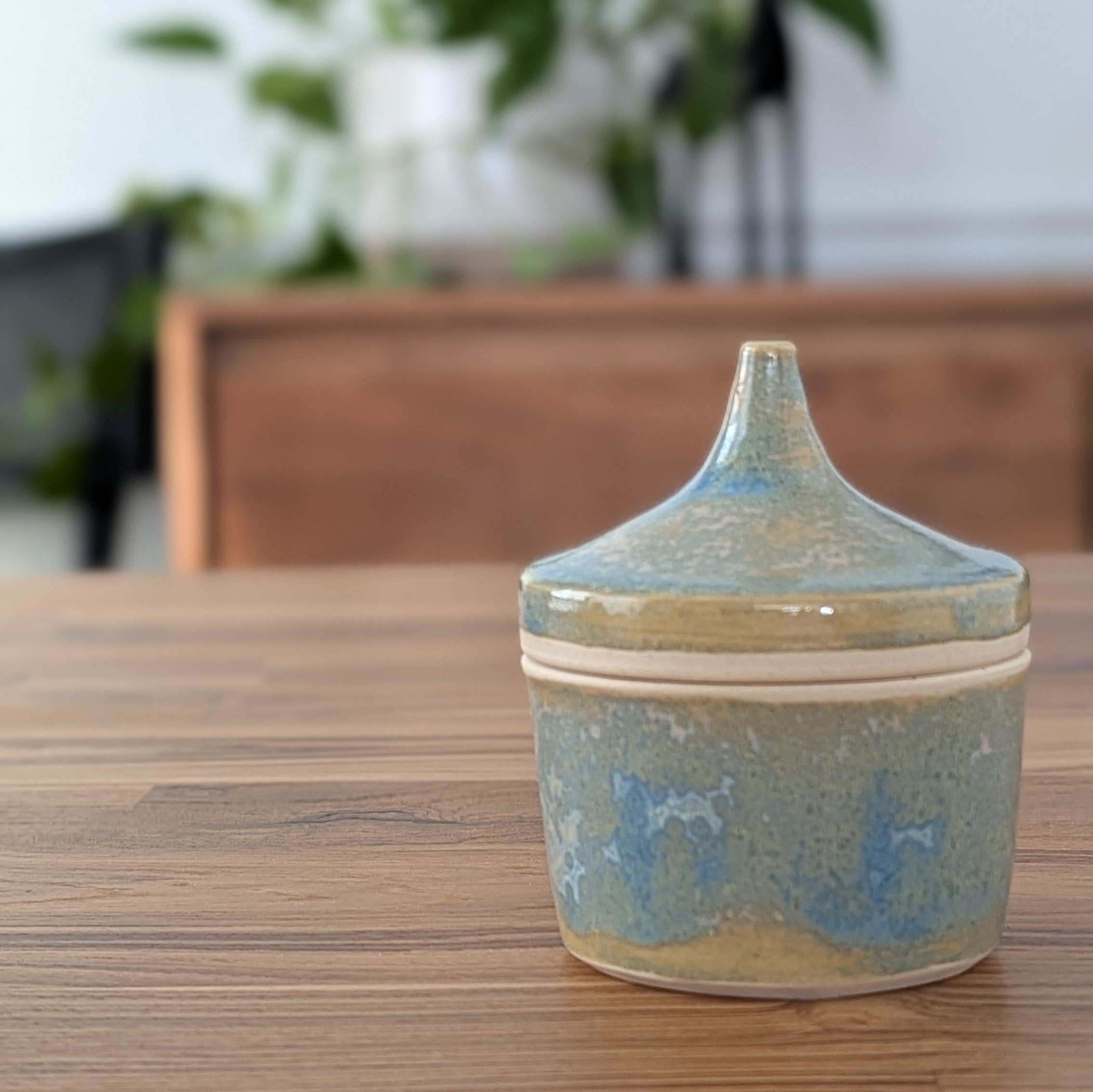 “Tidepool Keepsake Jar” — Crystalline Lidded Vessel